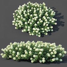 hydrangea arborescens 2 personalizzabile il fiore cespugli esterno giardino siepi hortensia ortensia paesaggio levelupviz live modello modulare modulo parcheggio la pianta arbusti piccola muro 3d print model - Mito3D