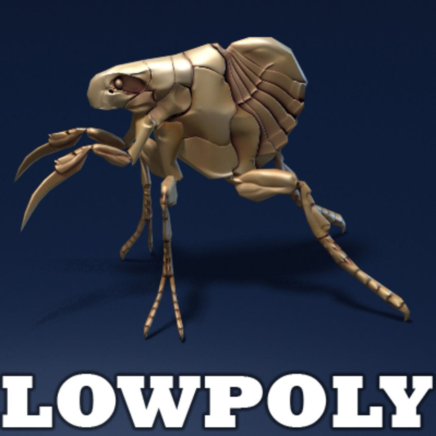 insect monster - lowpoly model animal blood bug character fantasy flea gametextures gen insects micros next parasite predator scary small 3D print model - Mito3D