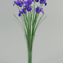 iris vase bleu botanic les buissons cluster de conifères la flore fleur forêt jardin l'herbe vert l'iris paysage lanfir111 feuille modèle l'usine arbustes d'arbre en arbre violette bois 3d print model - Mito3D