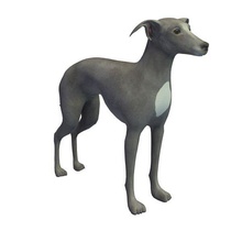 petit lévrier italien v2 l'italien greyhound animaux imprimable lowpoly 3d print model - Mito3D
