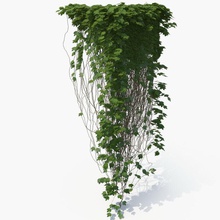 ivy architecture branch bushes column creeper ecleposs fence field forest garden grass green hedges jungle landscape leaf model nature plant realistic shrubs tree vray wall 3d print model - Mito3D