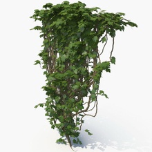 ivy branch bushes column creeper ecleposs fence garden grass green hedges landscape leaf model nature parts plant realistic round science small top tree vray wall 3d print model - Mito3D