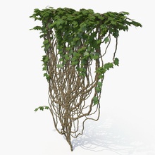 ivy branch bushes column creeper ecleposs fence garden grass green hedges landscape leaf model nature parts plant realistic round science small top tree vray wall 3d print model - Mito3D