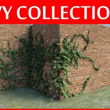 ivy Kollektion Sammlung Dekoration verdrängen Blume folliage gras grün Modell Parkplatz pflanze die vegetation vine 3d print model - Mito3D