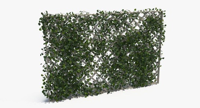 ivy cerca exterior valla jardín la uva verde kandrl paisaje celosía de hoja liana loza modelo naturaleza al aire libre el aparcamiento planta conjunto los arbustos pequeño árbol vid viñedo madera 3d print model - Mito3D
