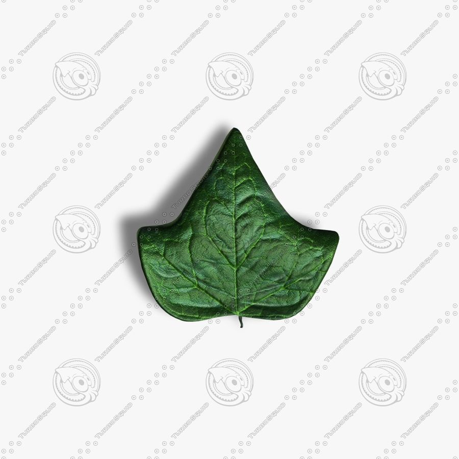 ivy leaf autumn bushes fauna fern flora flower forest garden grass jpwood78 model moss nature plant pot shrubbery shrubs spring summer tree winter wood 3D print model - Mito3D