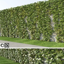 ivy l'extérieur clôture de la fleur jardin l'herbe vert paysage feuille liane macrox modèle nature plein air parking l'usine d'arbre en arbre à verticale vigne vignoble mur bois 3d print model - Mito3D
