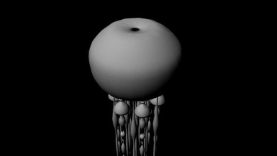 jelly fish common jellyfish see animals 3d print model - Mito3D