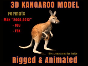 kangaroo 3d animal animated animation aussie australia film game kangaro koala macropods model mustafavangol photorealistic realistic rig 3d print model - Mito3D