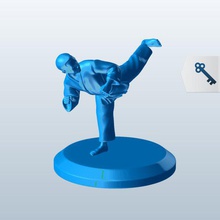 karate back kick v1 people printable lowpoly 3d print model - Mito3D