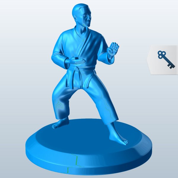 karate kokutsu dachi posizione v1 il presa di persone stampabile lowpoly 3D print model - Mito3D