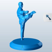 karate roundhouse kick v1 people printable lowpoly 3d print model - Mito3D