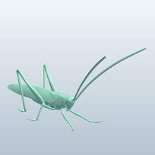 katydid v1 Insekten bedruckbar ist lowpoly 3d print model - Mito3D