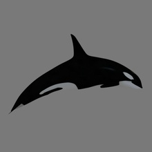 killer-Wal Flugzeug Tier Atlantik blender cg tief dolphin Taube Fisch killer säugetier Meister Modell Ozean orca pacific Versand Schwarm unter Wasser Wal 3d print model - Mito3D