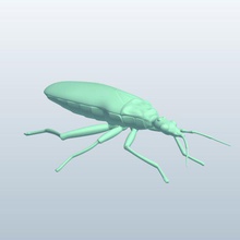 baciare bug v1 il gli insetti stampabile lowpoly 3d print model - Mito3D