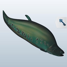 knife fish v1 aquatic life printable lowpoly 3d print model - Mito3D