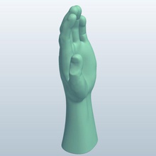 kung-fu-hand-v1 kung fu hand Anatomie bedruckbar ist lowpoly 3d print model - Mito3D
