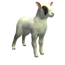 lamb v1 animals printable lowpoly 3d print model - Mito3D