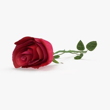 laying rose day flower gift lie long love model nature passion plant red romance romantic rosa royalmix s stem thorn valentine 3d print model - Mito3D