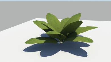 leaf plant bushes darkchief117 fern flower foliage forest grass jungle model small terrain 3d print model - Mito3D