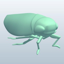 leafhopper v2 insects printable lowpoly 3d print model - Mito3D