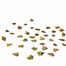 leafs ground 01 3d bushes collection detail fall floor foliage forest garden grass leaf lower maple model natural nature parking plant poly set shrubs skyart3d tree 3d print model - Mito3D