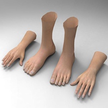 leg hand 3d wanderer anatomy body character extremities finger foot human legs limbs model nail toe 3d print model - Mito3D