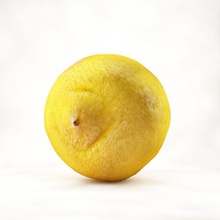 limon kokteyl içme gıda taze meyve bahçe sağlık suyu limonata kireç model doğa gerçekci bitki ağaç vyvera 3d print model - Mito3D