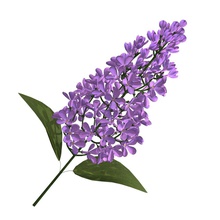 lilac blossom cwolf s flora flower model nature petal plant tree 3d print model - Mito3D