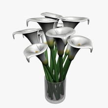 lily v1 lilly piante la fauna selvatica stampabile lowpoly impianti di 3d print model - Mito3D