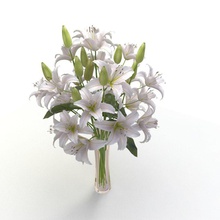 Lilie weiße Blume vase 3d fixcode84 lily max Modell pflanze pot realistisch sind klein Baum vray weiß 3d print model - Mito3D