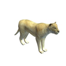 lion v1 female animals printable lowpoly 3d print model - Mito3D
