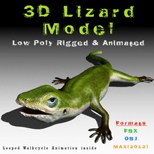 lizard 3d lowpoly model rigged & animated animal animation bone creatures game green iguana lizards mustafavangol realistic reptiles rig salamander tail vr walkcycle 3d print model - Mito3D
