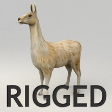 Lama manipuliert Amerika Tier chile Reh Spiel guanako kvakling lama llama niedrigere säugetier Modell peru poly bereit rig Schafe wild wildlife 3d print model - Mito3D