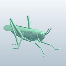 locust v1 Insekten bedruckbar ist lowpoly 3d print model - Mito3D