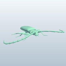longhorn beetle v1 insects printable lowpoly 3d print model - Mito3D