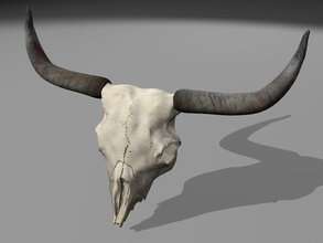 longhorn animal bison bull carcass cow cowboy dead death desert farm ground head horn model redfox1980 riding rod sand skeletal skeleton skull texas west wild 3d print model - Mito3D
