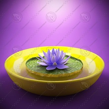 lotus flower flor lightbox model plant planta pot r gia scene studios vase vaso vey3d vit ria 3d print model - Mito3D
