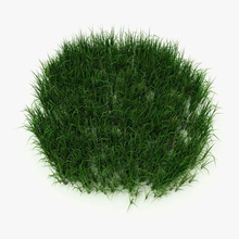 low-poly grass garden ground kazemi56 land landscape lower model plant poly terrain vegetation 3d print model - Mito3D