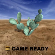 low poly - cactus beaver tail beavertail cowboy desert game gameready lod lower model niva3d old plant ready real realtime time west western 3d print model - Mito3D