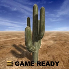 low poly - cactus saguaro 2 grande cowboy deserto gioco gameready gigante lod più in basso niva3d vecchio la pianta poli pronto vero realtime tempo a ovest western 3d print model - Mito3D