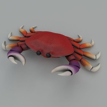 low poly cartoon crab animal claw creatures crustacean fish game lower model ready sea shark syrak underwater 3d print model - Mito3D