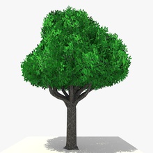 baja poli de dibujos animados árbol 8 - 15 3d 3ds hoja ancha c4d carrara1 dae caduca exterior fbx juego paisaje inferior modelo obj la planta listo realista vegetación 3d print model - Mito3D