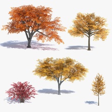 low poly fall trees set abramsdesign autumn big brown bushes collection dead deciduous elm foliage forest game green lower model nature oak plant ready real red tall time tree vegetation yellow 3d print model - Mito3D