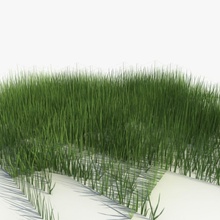 low poly grass 1 bloo3d fps game ground lower model plant ready real small terrain time unity 3d print model - Mito3D