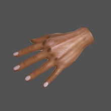 low poly hand 3v3r anatomy arm body character extremities finger fingernail game human limbs lower model nail parts people ready thumb wrist 3d print model - Mito3D