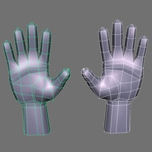 low poly mains basemesh l'anatomie de la base corps cage dessin animé caractère fermoir les extrémités doigt le poing grab main l'homme membres bas maya maillage modèle personnes tirez réaliste simple vital3d 3d print model - Mito3D
