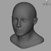 low poly head anatomy character correct ear eye face guys human int3lig3nt lower male man model mudbox nose skeleton standard template zbrush 3d print model - Mito3D