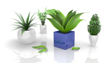 low poly plants 3d architecture bushes city decoration flower garden green home household interior life lower model palm people plant pot scene shariff small town tree 3d print model - Mito3D