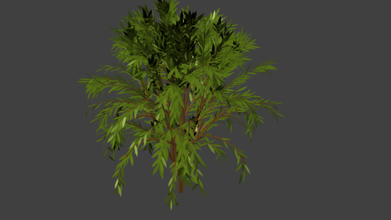 low poly albero piante 3d print model - Mito3D
